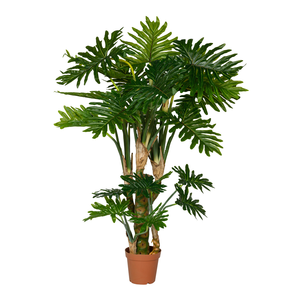 brass hammered flower pot snake plant 27in Sansevieria Trifasciata Snake Plant